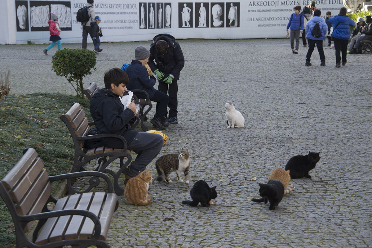 Istanbul Arch Museum dec 2016 1804.jpg