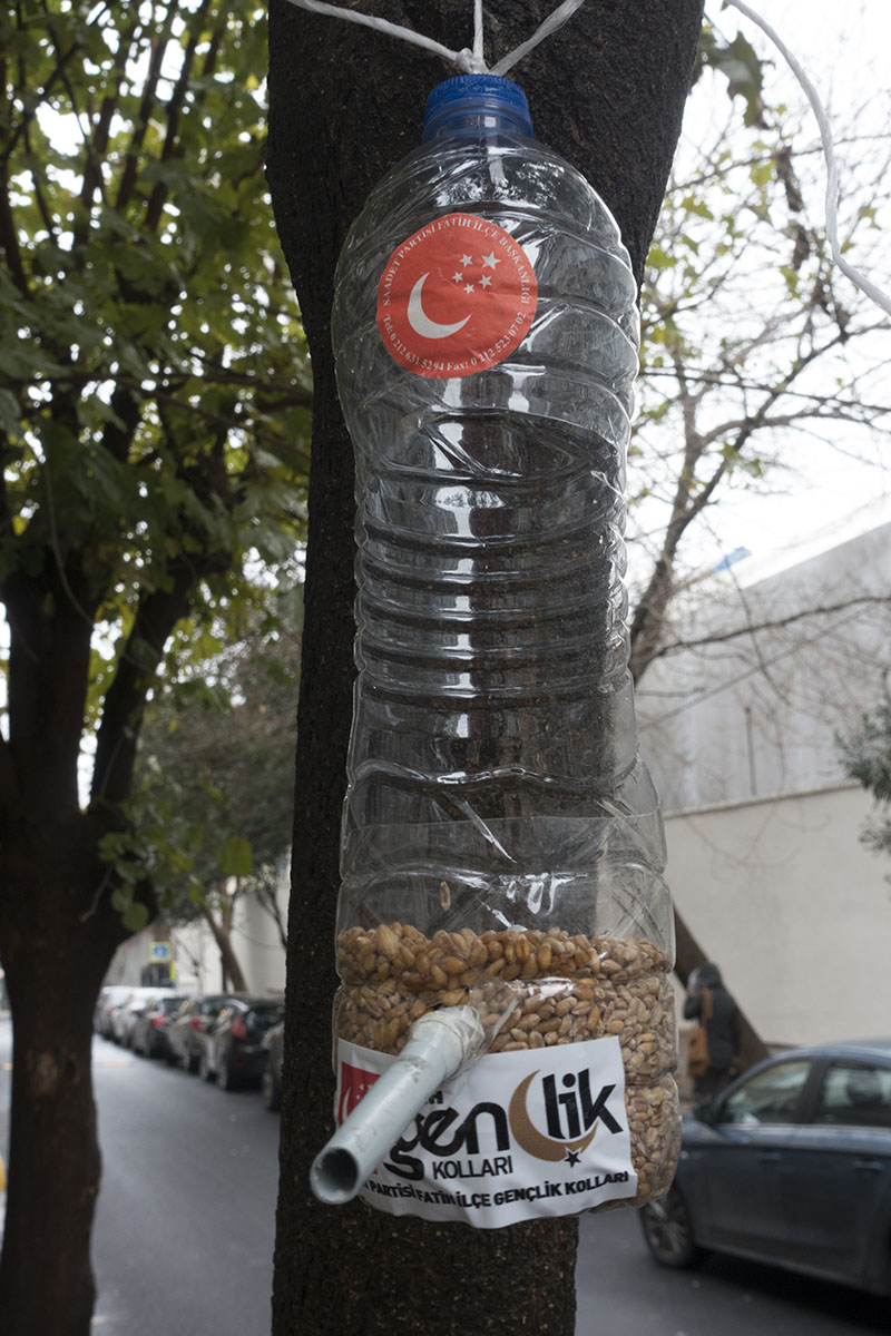 Istanbul 2016 3290.jpg