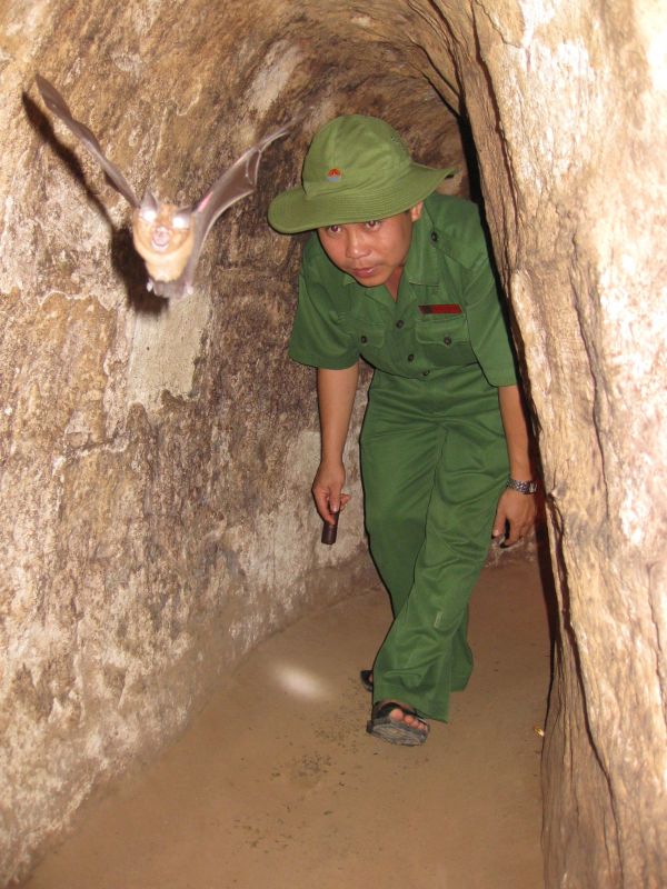 A bat in the Cu Chi Tunnels