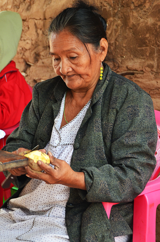 20130611_0393 guarani woman bolivia.jpg