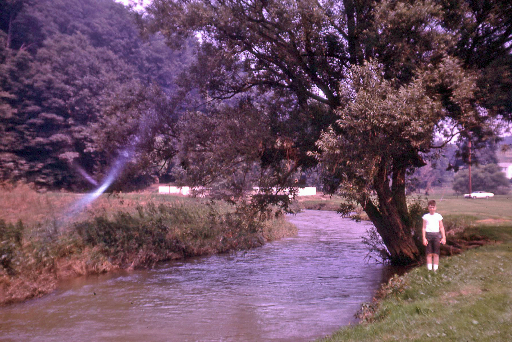 After Hurricane Agnes