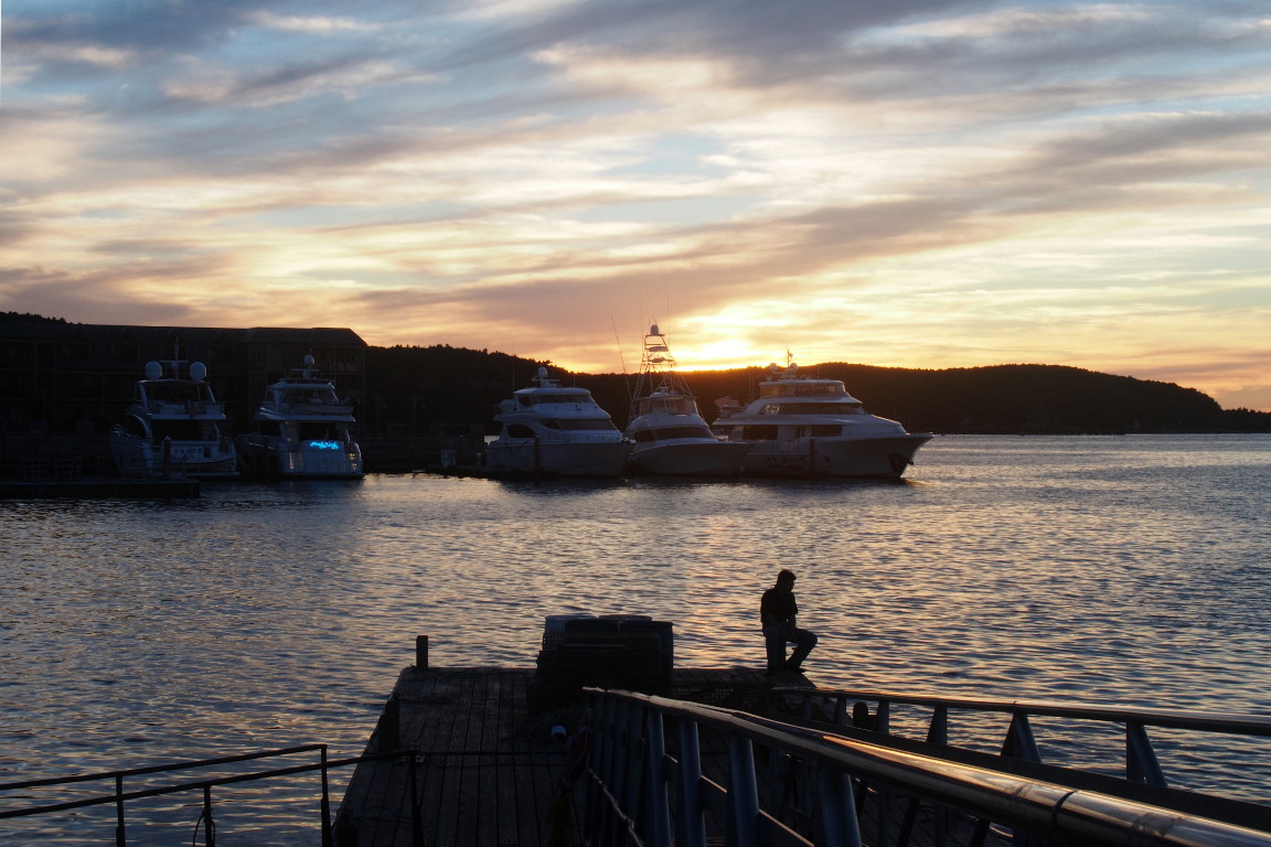 P8156527.JPG
