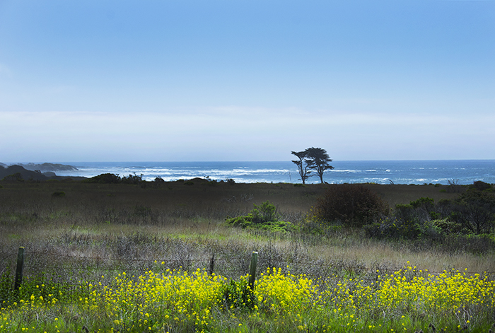 San Mateo Coast