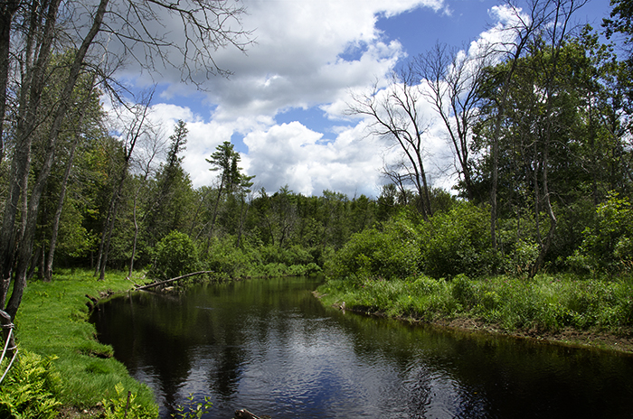 On the Au Sable River