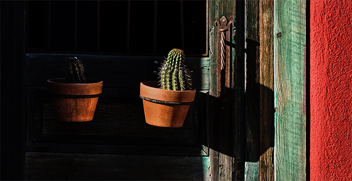 Mesilla, NM, and the Barrio Historico of Tuscon