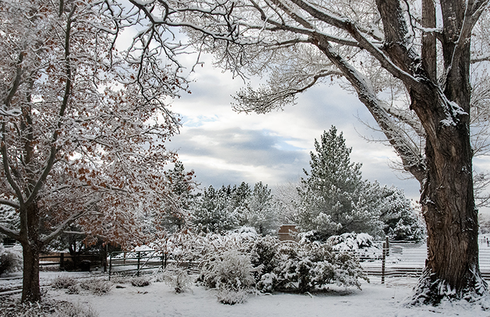 Corrales Village, New Mexico