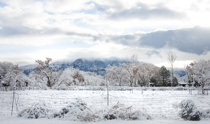 Corrales Village, New Mexico