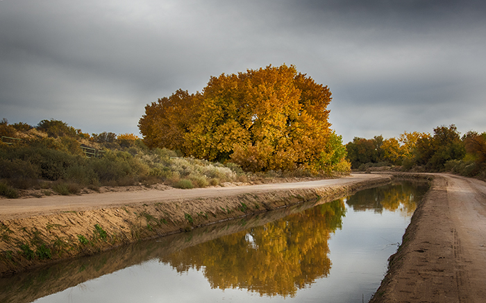 Corrales Village, New Mexico