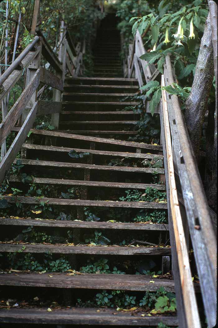 Coit Tower Staircase, San Francisco, 1978