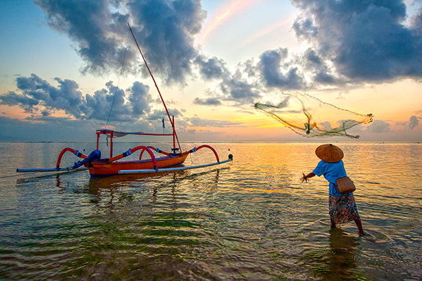 Catsing His Net