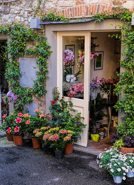 Flower Shop