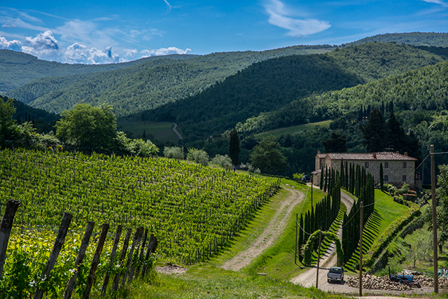 In Chianti Country