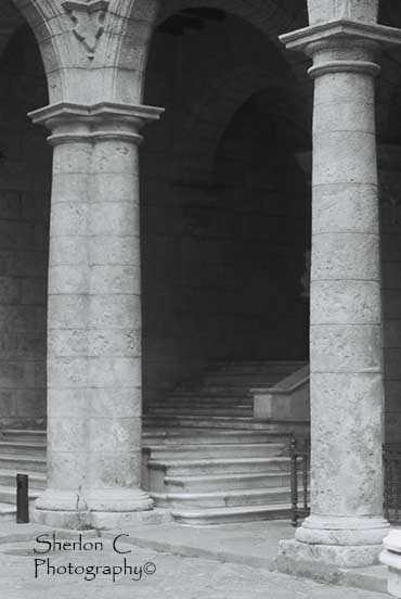 F1010004   Sherlon C Photographer.JPG