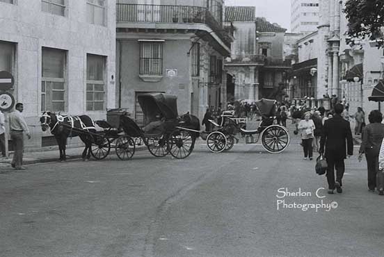 F1010015   Sherlon C Photographer.JPG