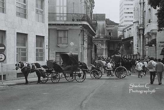 F1010016   Sherlon C Photographer.JPG