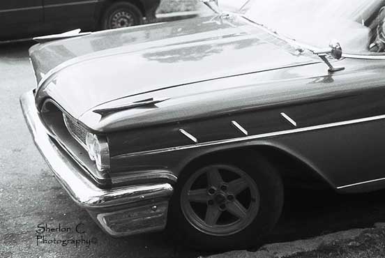 F1010021   Sherlon C Photographer.JPG