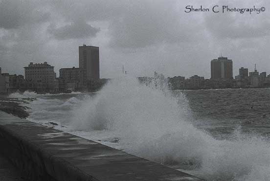 F1010024   Sherlon C Photographer.JPG