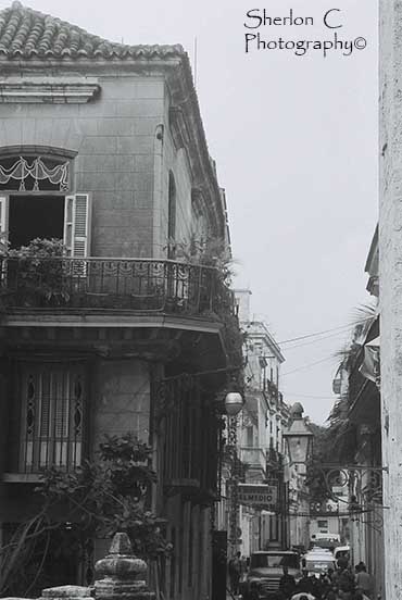 F1020003   Sherlon C Photographer.JPG