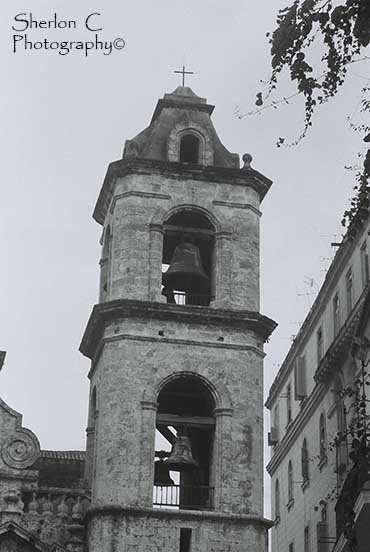 F1020006   Sherlon C Photographer.JPG