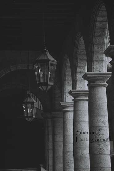 F1020022   Sherlon C Photographer.JPG