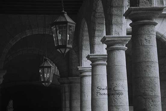 F1020026   Sherlon C Photographer.JPG