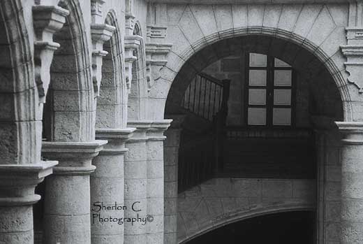 F1020027   Sherlon C Photographer.JPG
