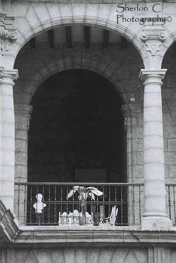 F1020029   Sherlon C Photographer.JPG