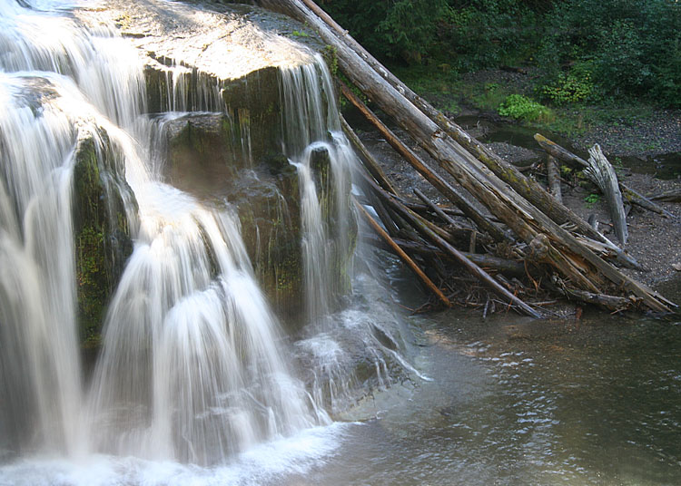 23 falling water fallen trees