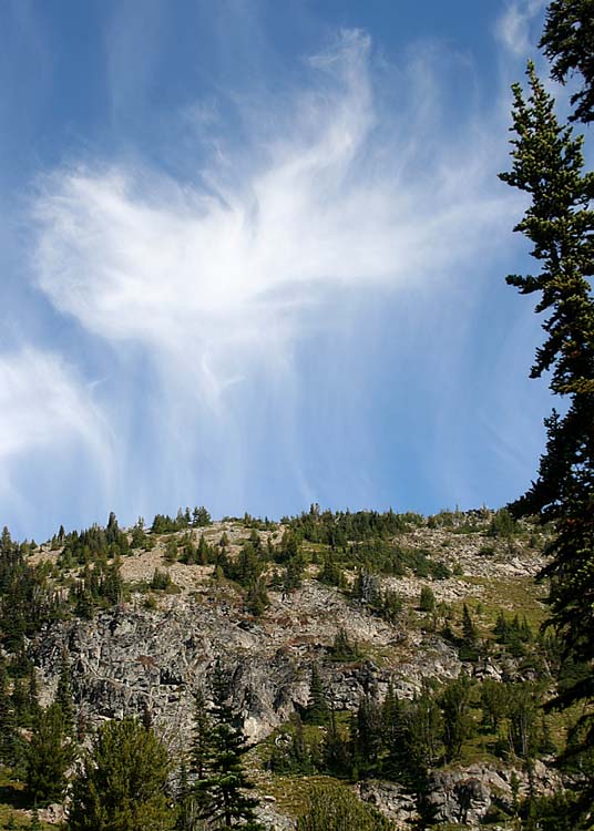 61 angel over rainier