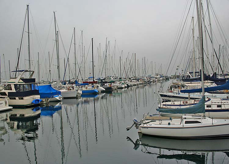 11 shilshole marina