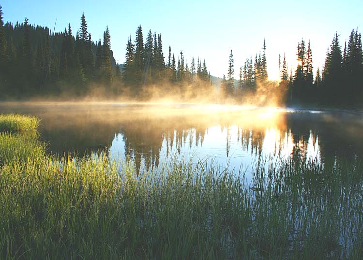 Sunlit dawn mist at Reflection Lake