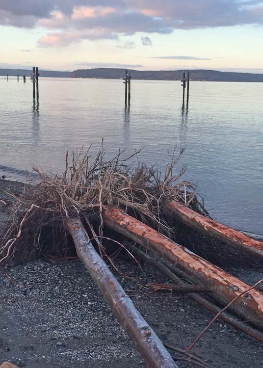 three trees down