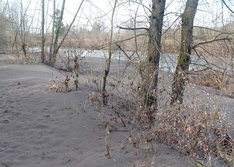 46 sand and silt after flooding