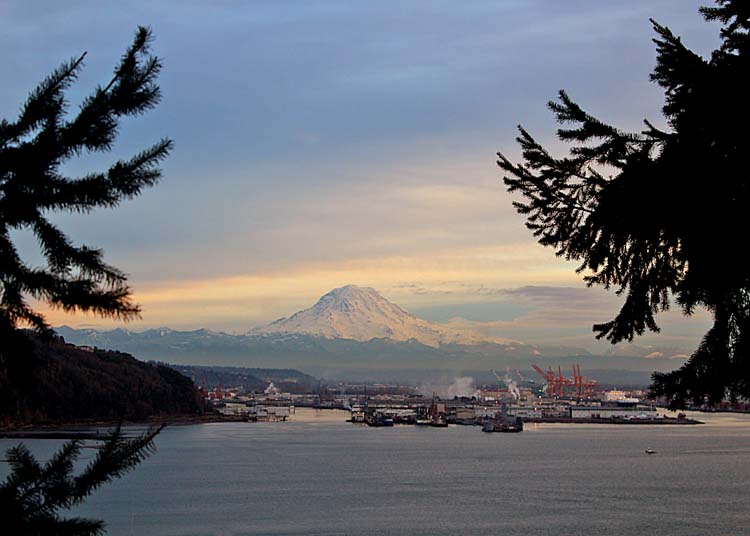 83 trees, mountain and the port of tacoma
