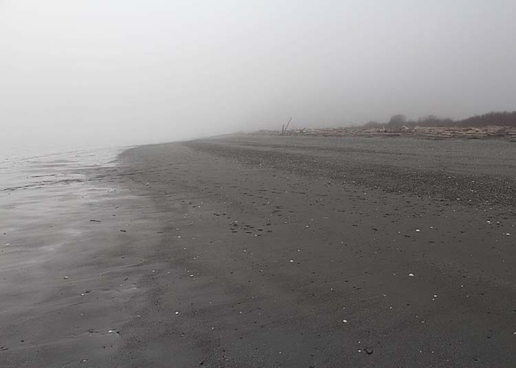 28 a big foggy beach