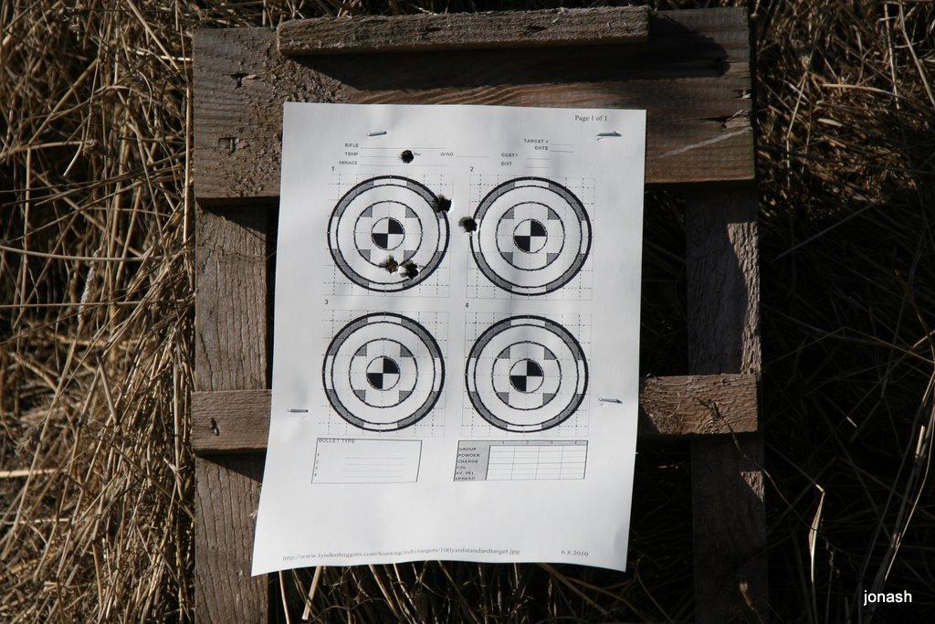 .308 Lrus