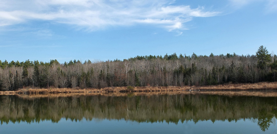 Black Pond  Newman Hill - Hinds 11-12-12-pf.jpg