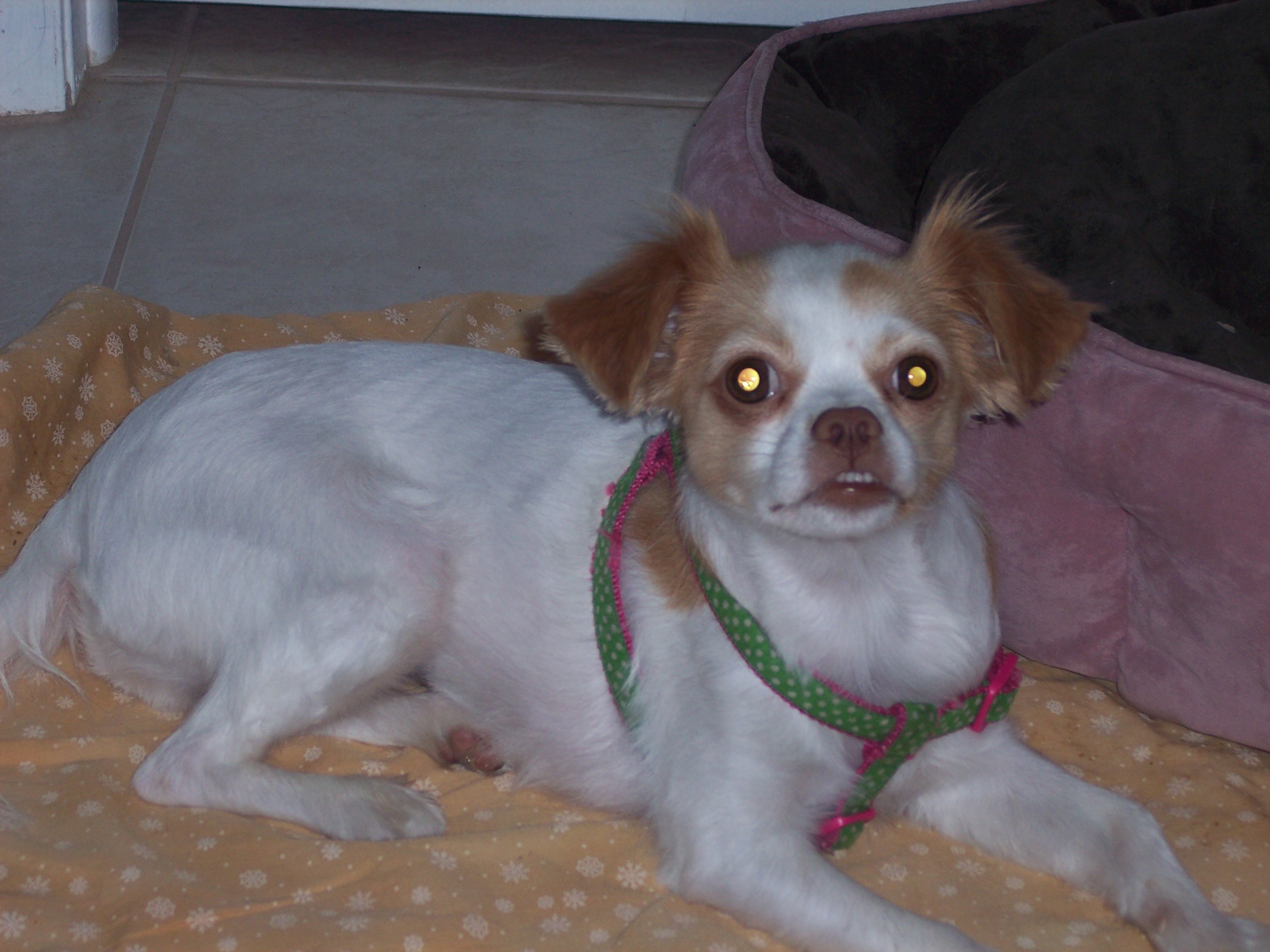 100_1366.JPG