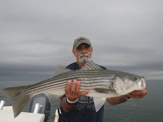 Bill Shipman