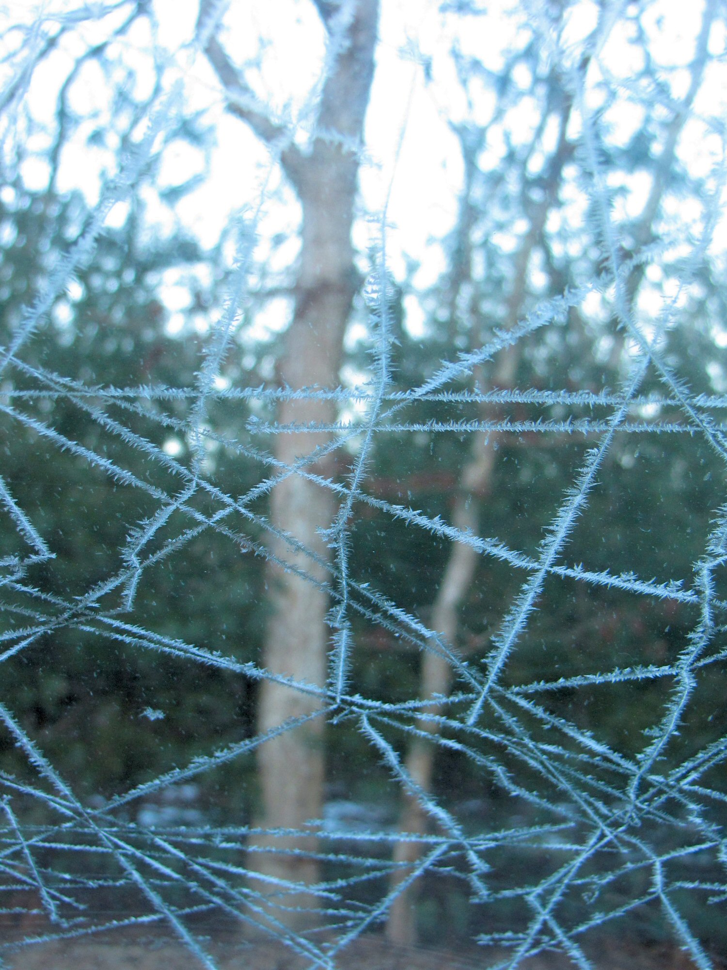 Windshield Ice Crystals.jpg