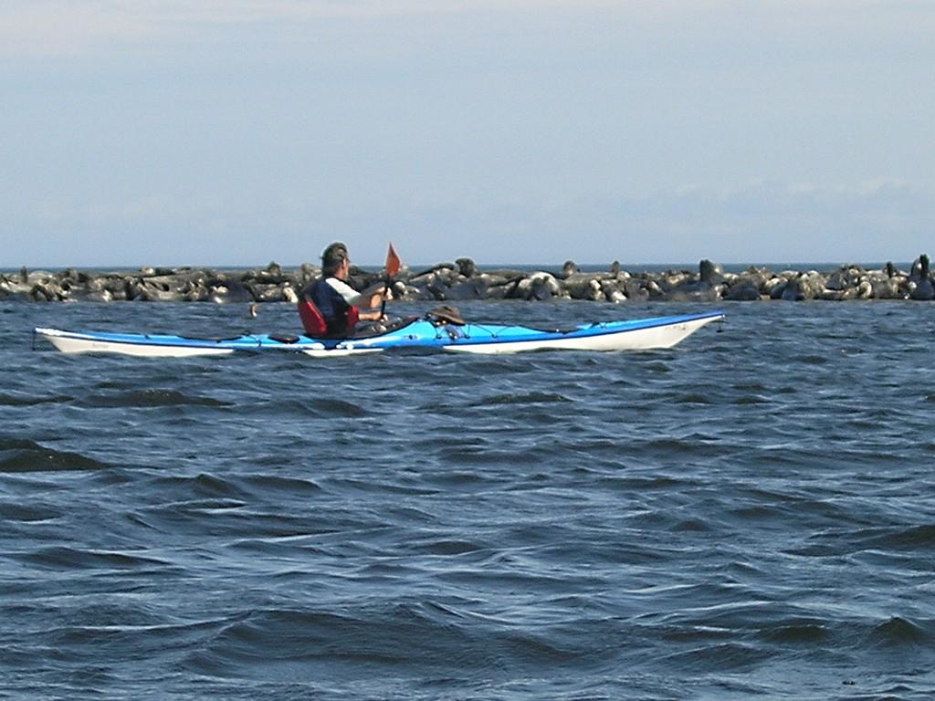 P9130014.JPG