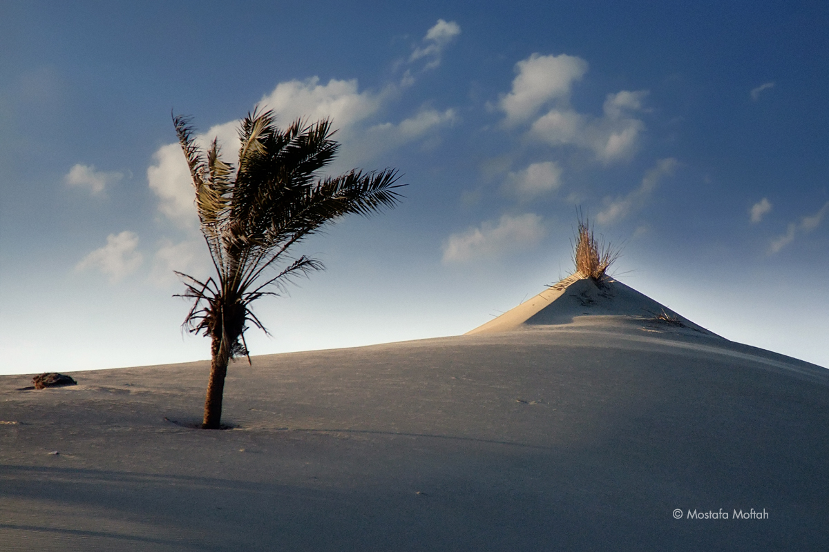 Balteem Coast - North of Egypt