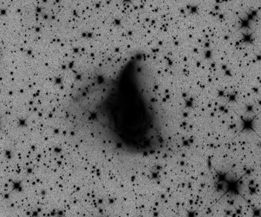 NGC 2207 & IC 2163 Extended Halo and Tidal Arm