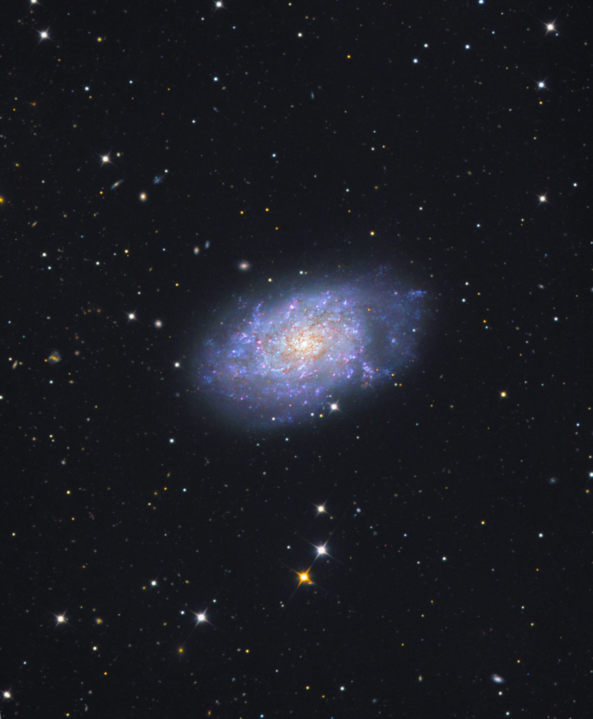 NGC 7793 in Sculptor Close up