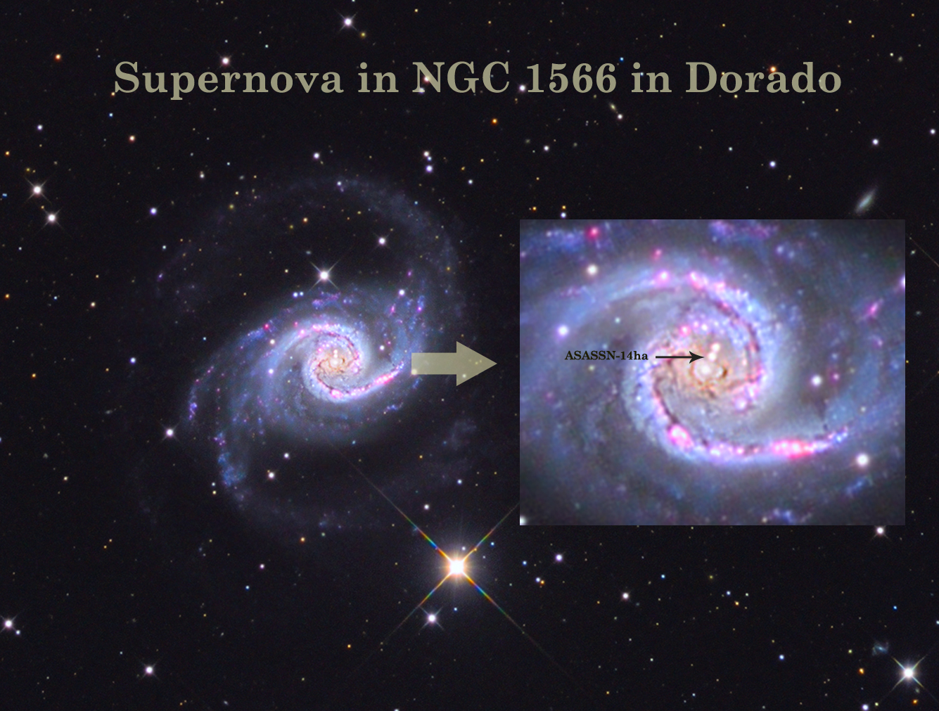 Supernova ASASSN-14ha