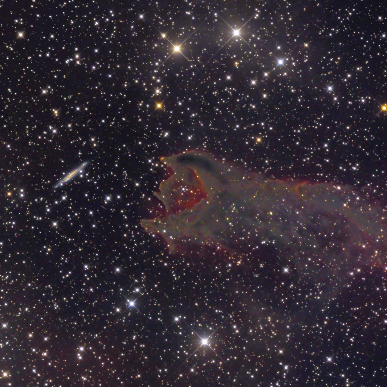 Giant Exogorth in Puppis
