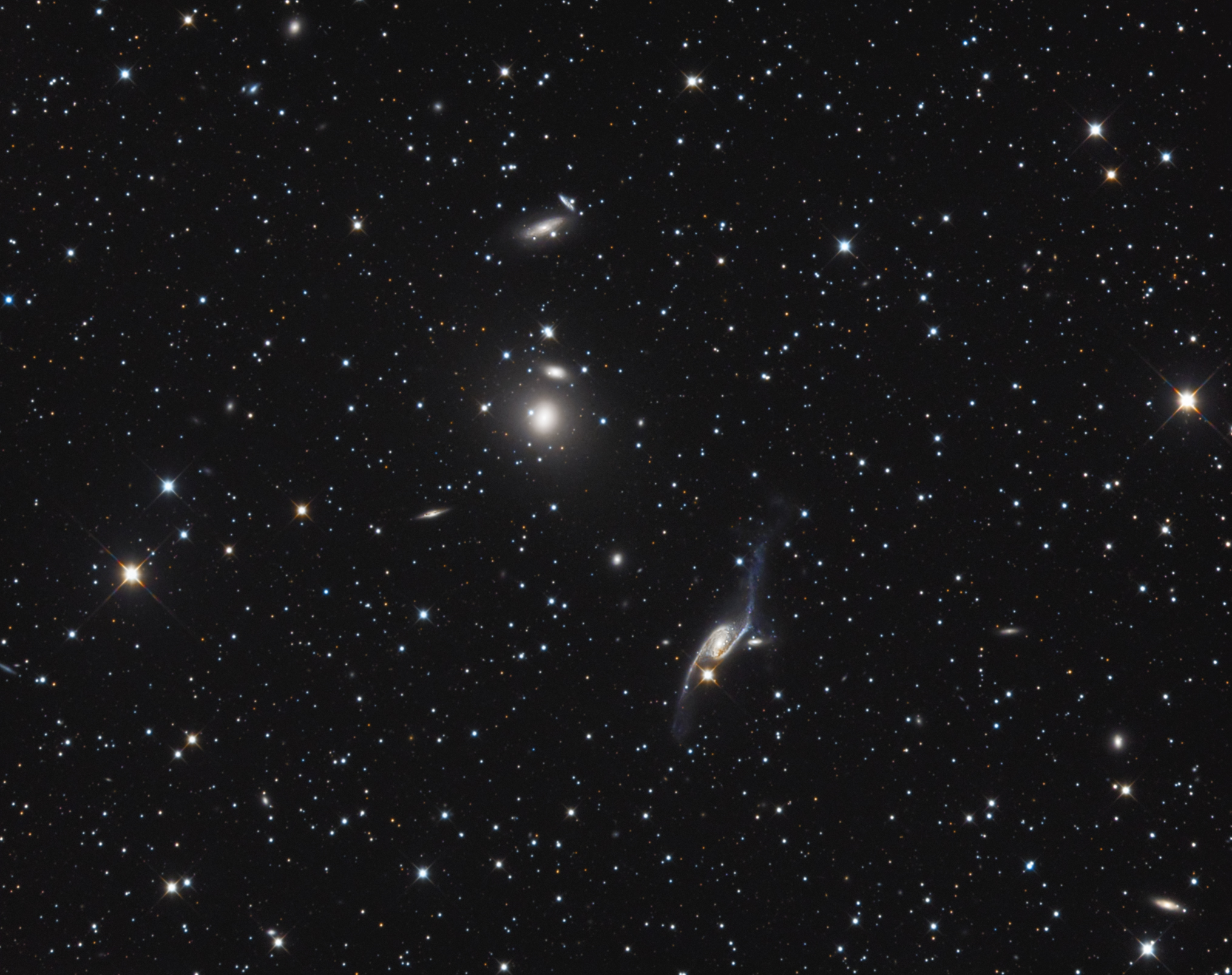 NGC 6872 The Condor Galaxy and her flock