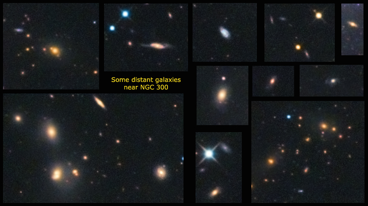Distant galaxies near NGC 300