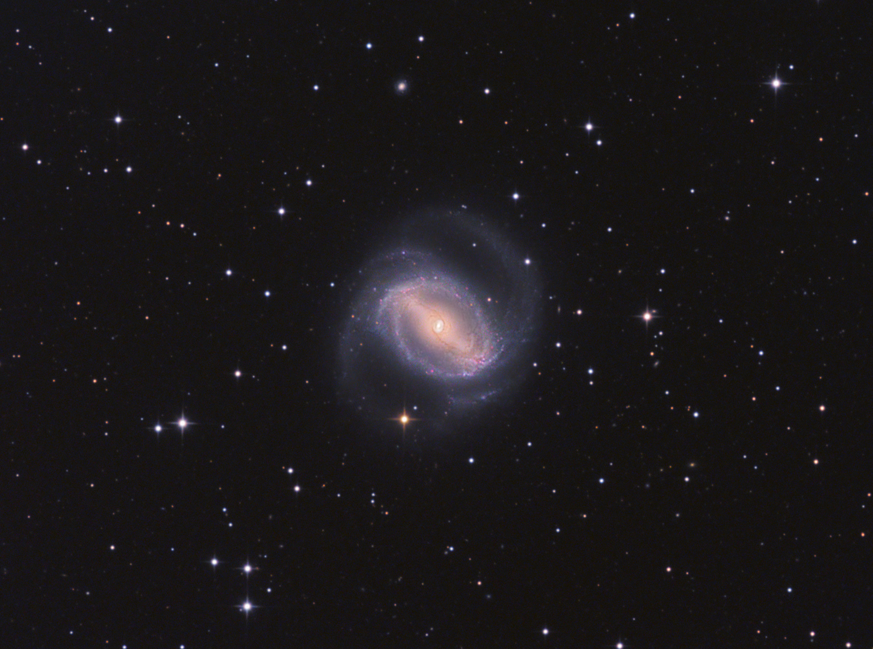 NGC 1433 Close Up