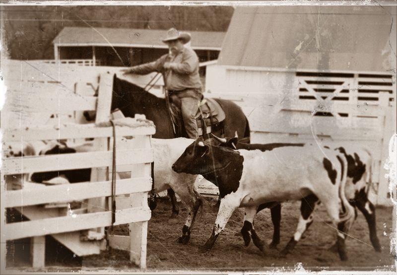 Cowboy